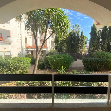 Rent Albir